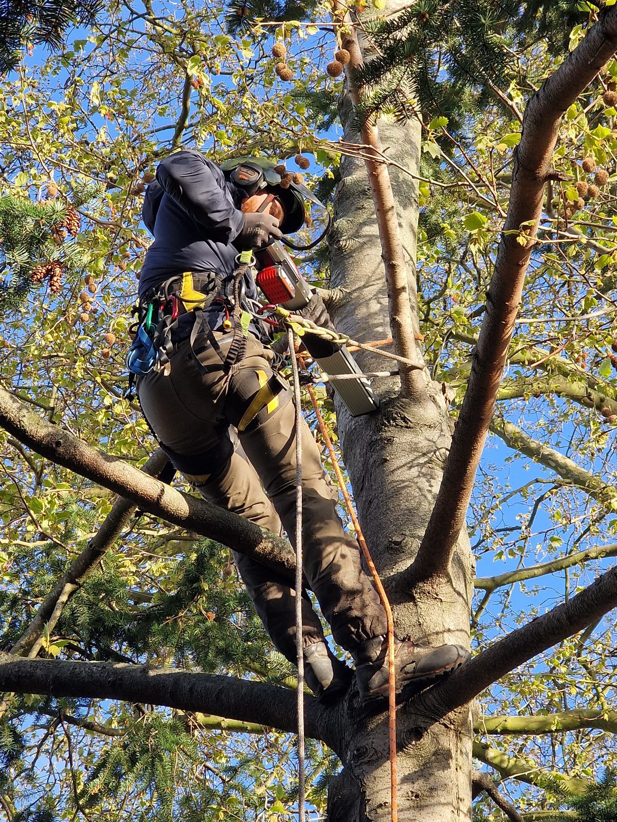 Climbing Inspection