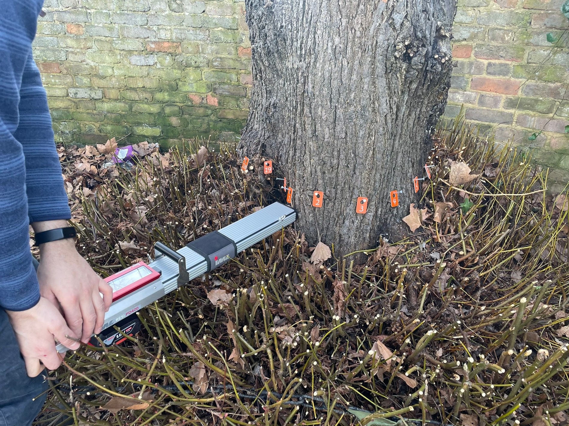 Microdrill Assessment