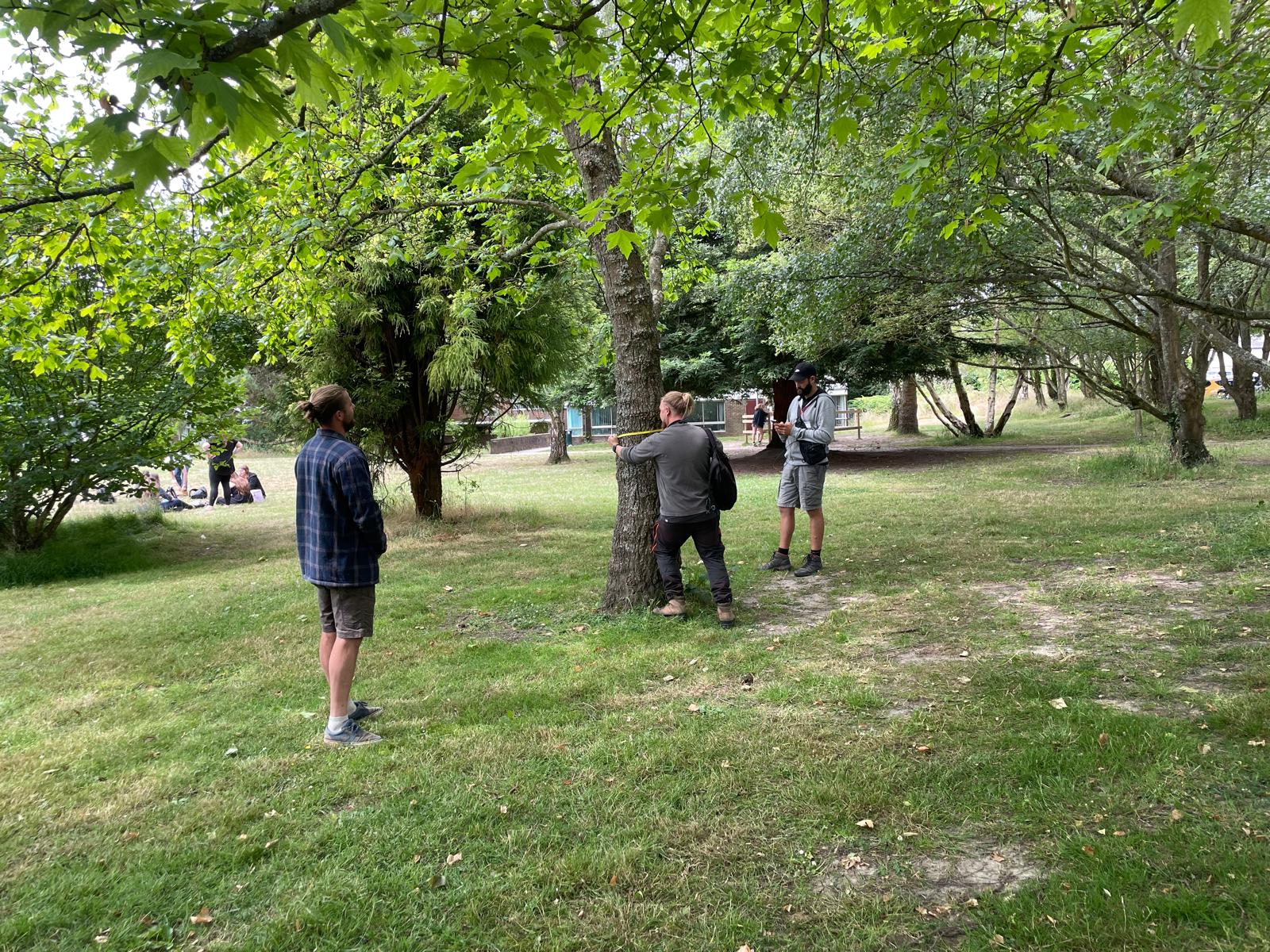 Tree Survey