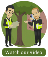 Watch Video Watch Video